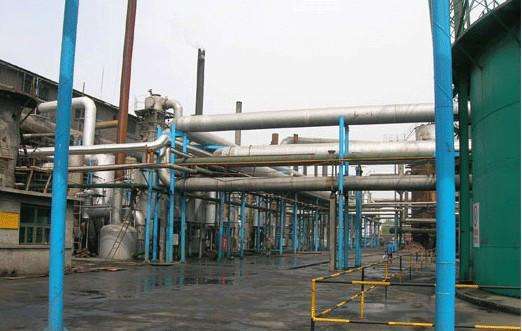 timg (3).jpg timg (3).jpg